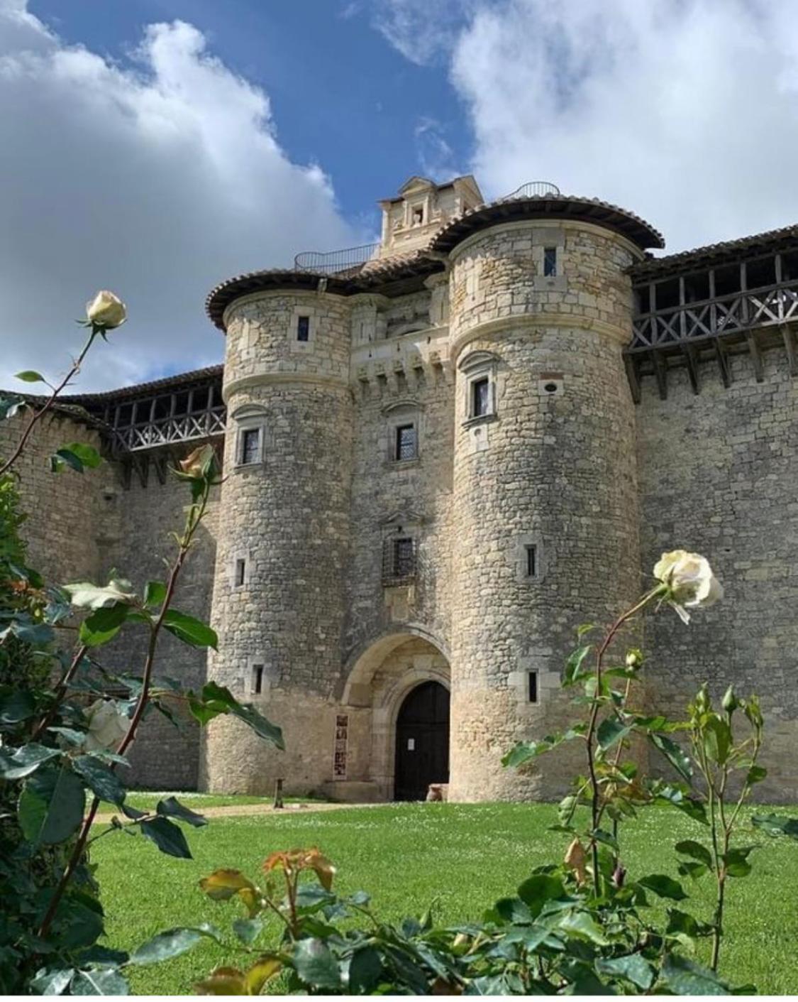 Puechblanc Gites Et Chambre D'Hote Dans Le Triangle D'Or Gaillac-Albi-Cordes Sur Ciel Fayssac Exterior foto