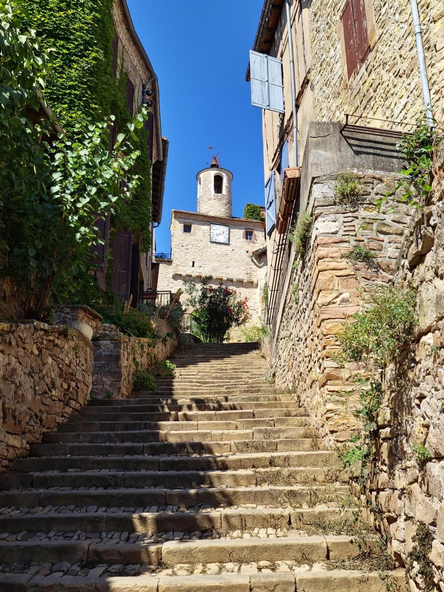 Puechblanc Gites Et Chambre D'Hote Dans Le Triangle D'Or Gaillac-Albi-Cordes Sur Ciel Fayssac Exterior foto