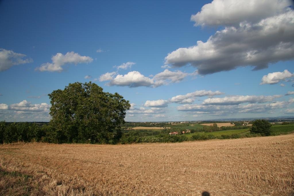 Puechblanc Gites Et Chambre D'Hote Dans Le Triangle D'Or Gaillac-Albi-Cordes Sur Ciel Fayssac Exterior foto